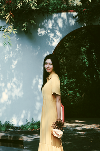 Butterfly Button-Down Dress