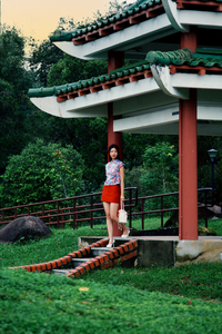 Printed Mandarin Blouse
