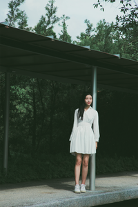 Smocked Waistline Dress