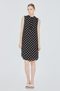 Crew Collar Polka Dot Dress