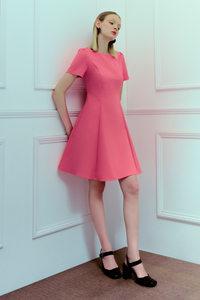 Princess Seamed Dress