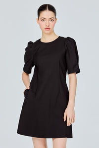 Puffed Sleeves Dress