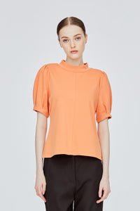Pleated Sleeve Tee Blouse