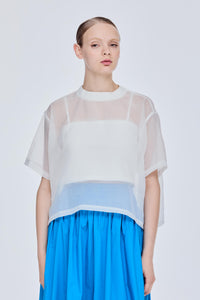 Oversized Sheer Top