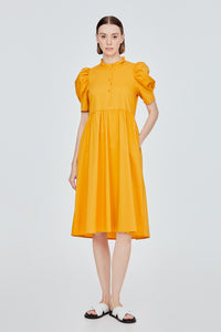 Ruffled Collar A-Line Dress