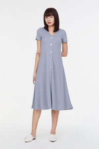 Buttondown Flare Dress