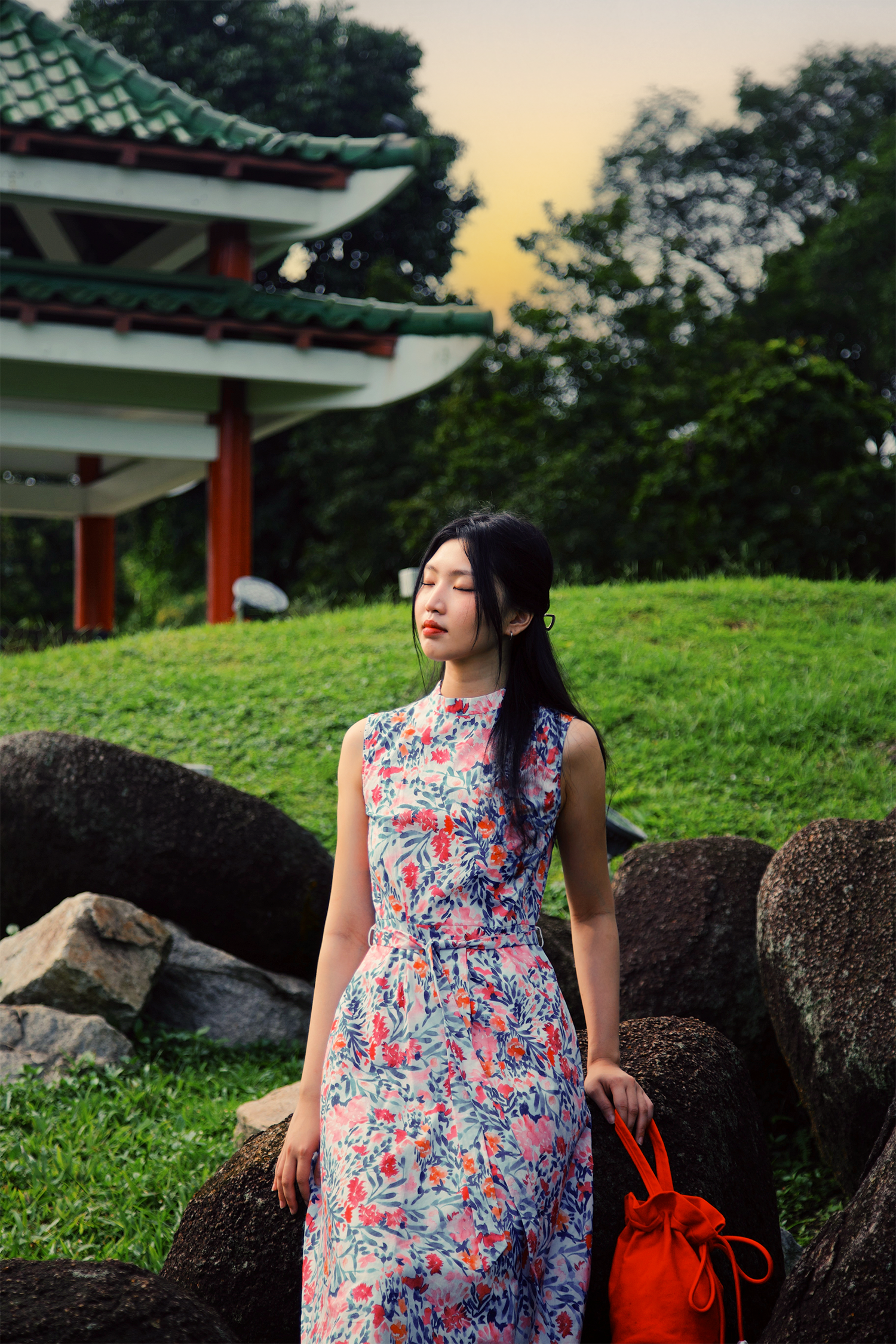 Highneck Printed A-Dress