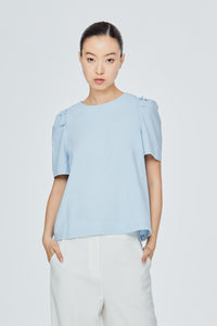 Pleated Sleeves Top