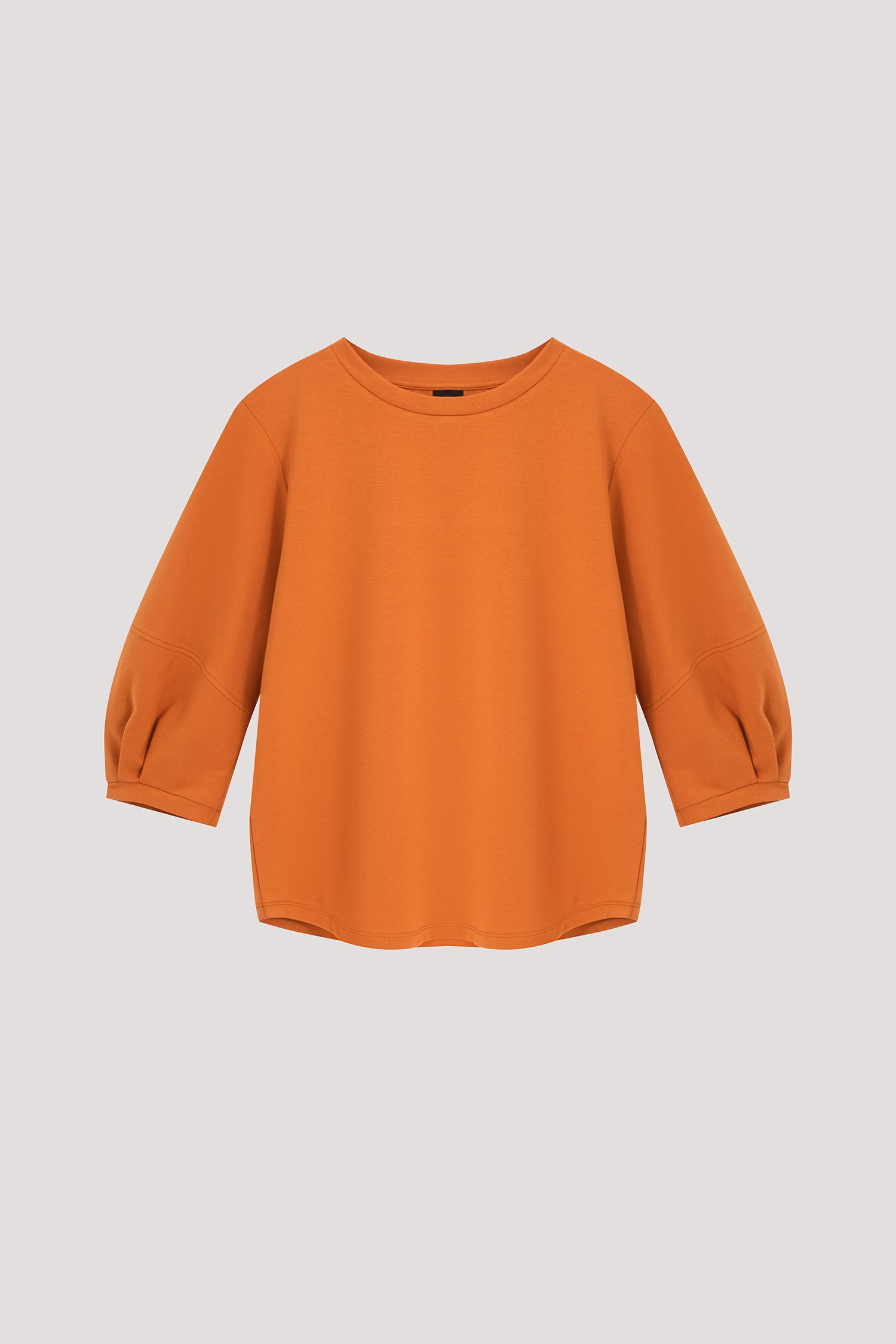 Panelled Puffy Blouse – iORA