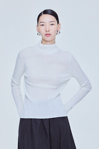 Turtle Neck Sheer Knit Top