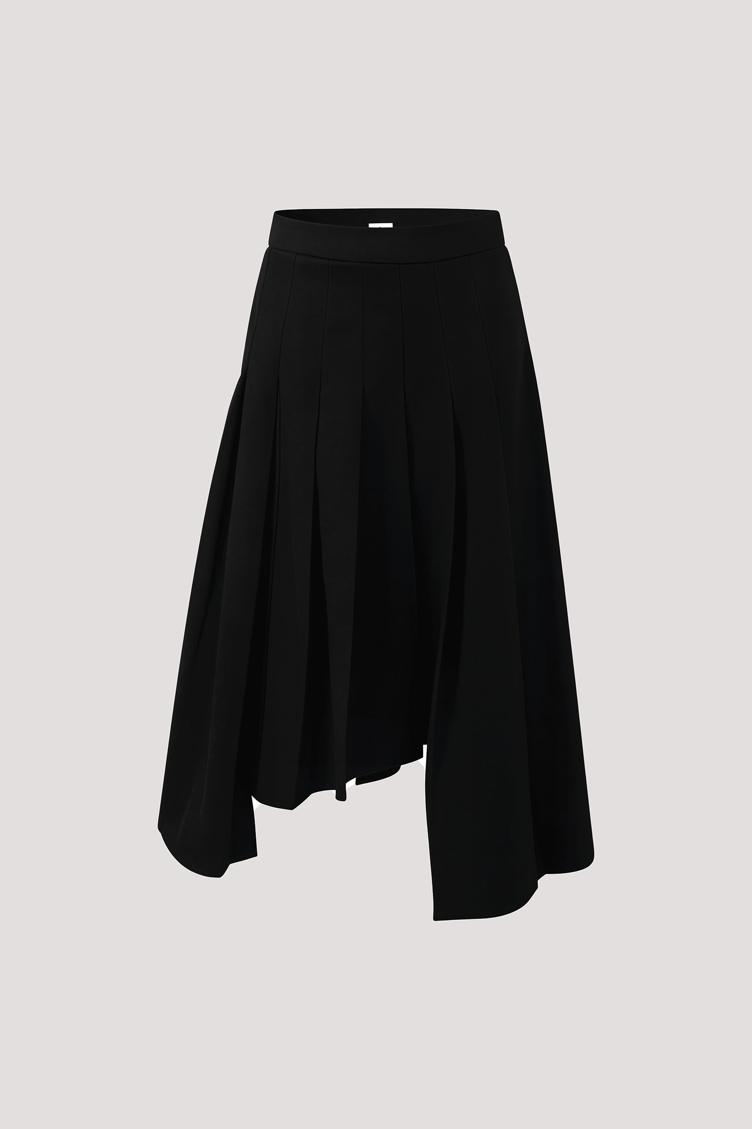 Asymmetric Pleated Skirt
