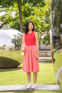 Contrasting A-Line Ruffle Dress