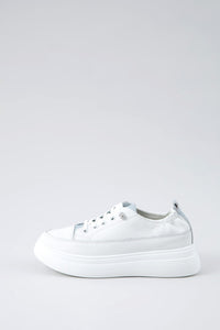Platform Trainers