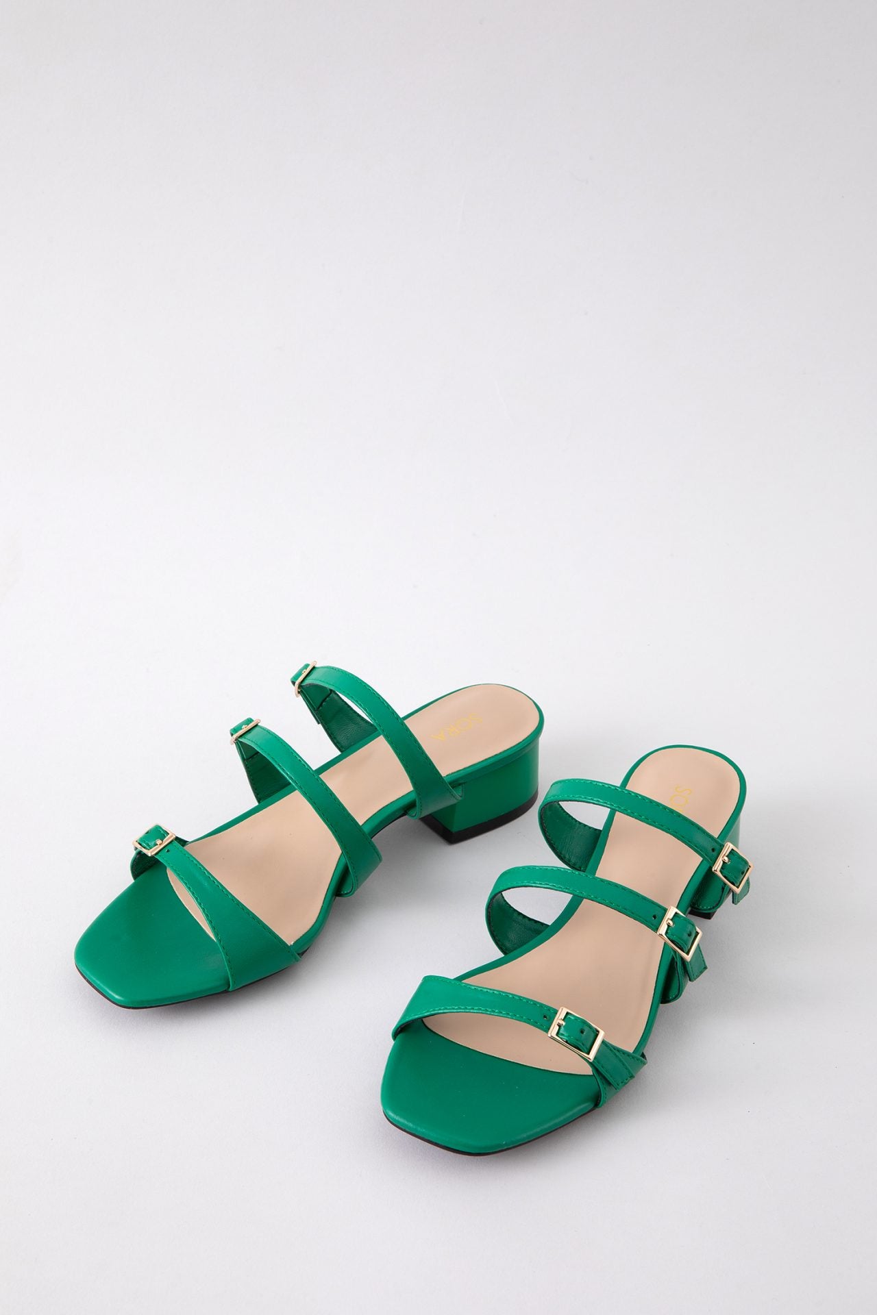 motion green