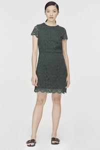 dark green